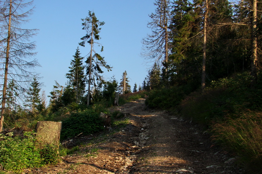 Andrejcová z Tatranskej Štrby (Nízke Tatry)