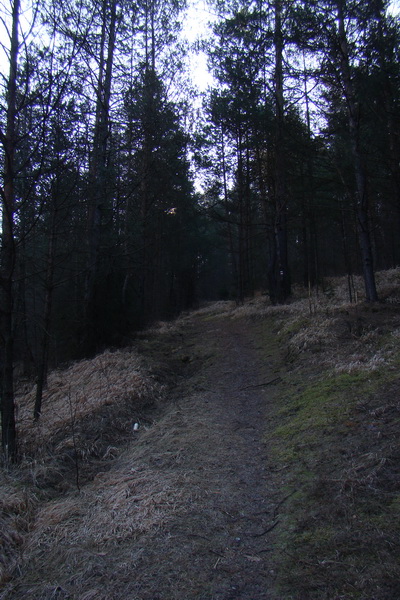 Bukovec z Matejoviec nad Hornádom (Volovské vrchy)