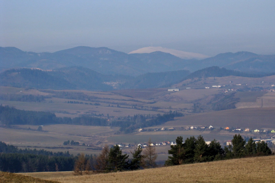 Bukovec z Matejoviec nad Hornádom (Volovské vrchy)