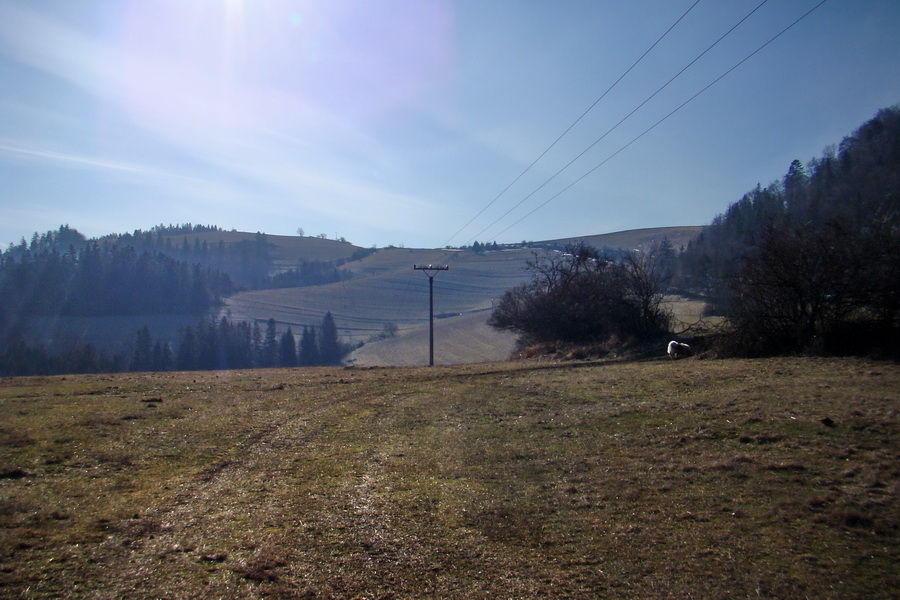 Bukovec z Matejoviec nad Hornádom (Volovské vrchy)