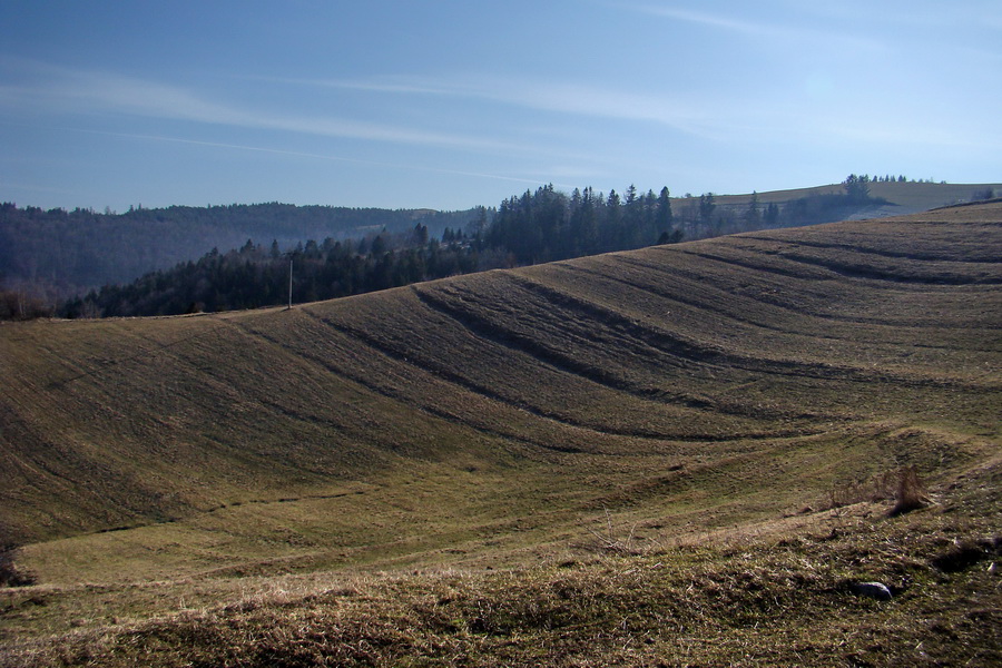 Bukovec z Matejoviec nad Hornádom (Volovské vrchy)