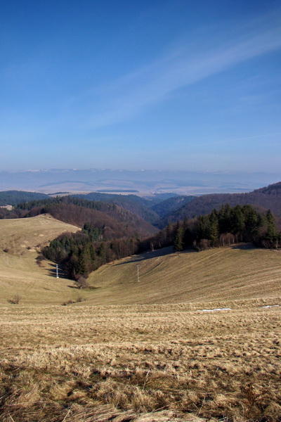 Bukovec z Matejoviec nad Hornádom (Volovské vrchy)