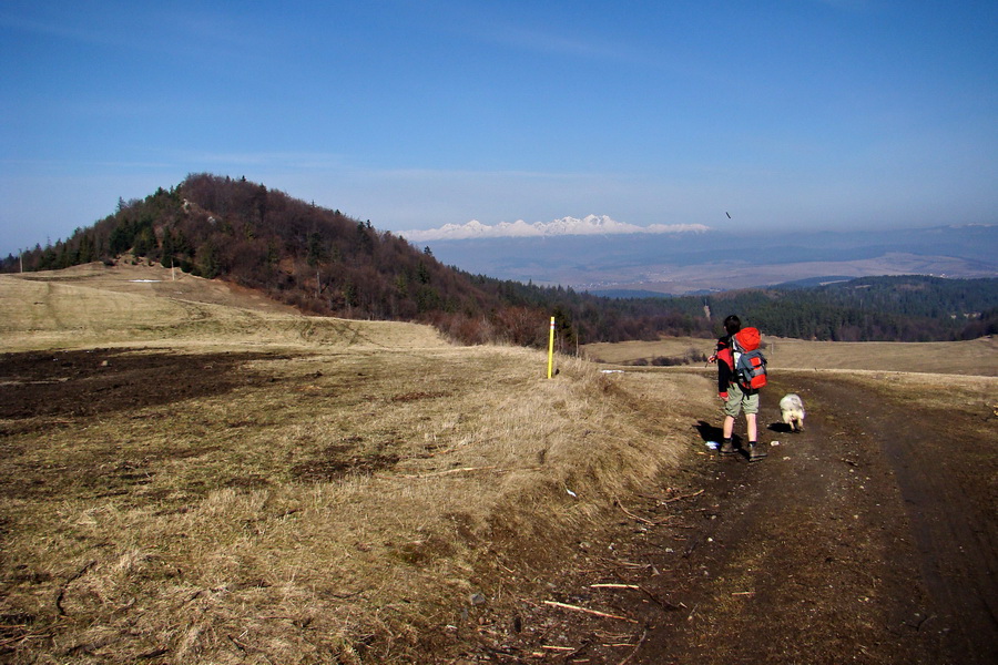 Bukovec z Matejoviec nad Hornádom (Volovské vrchy)