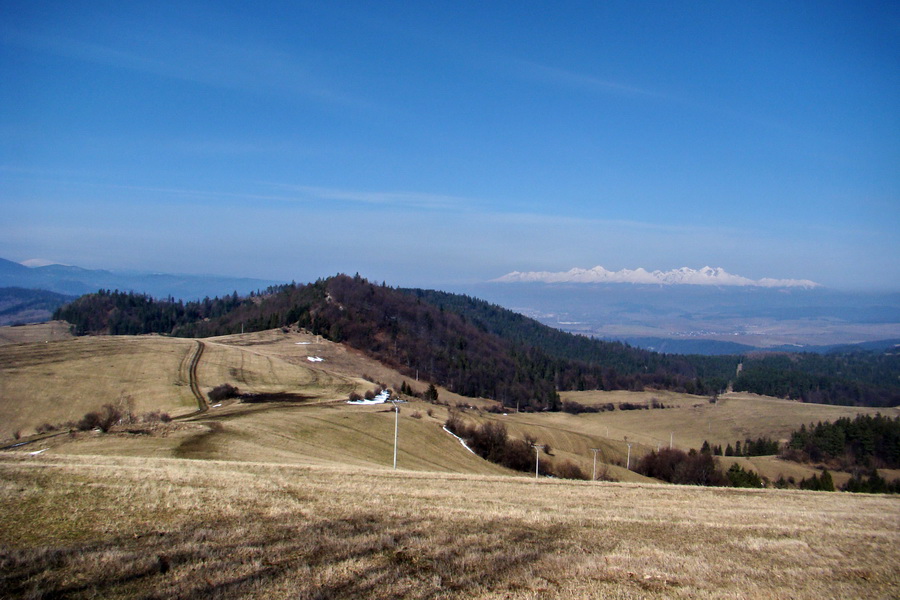 Bukovec z Matejoviec nad Hornádom (Volovské vrchy)