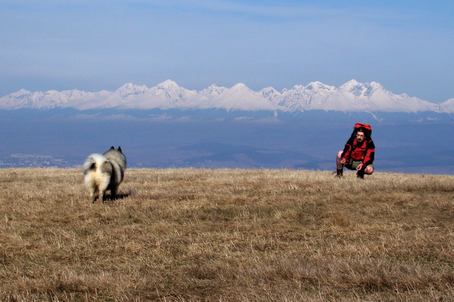 Bukovec z Matejoviec nad Hornádom (Volovské vrchy)