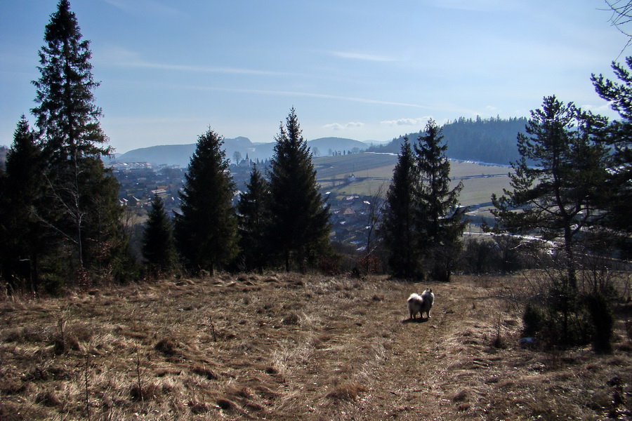 Bukovec z Matejoviec nad Hornádom (Volovské vrchy)