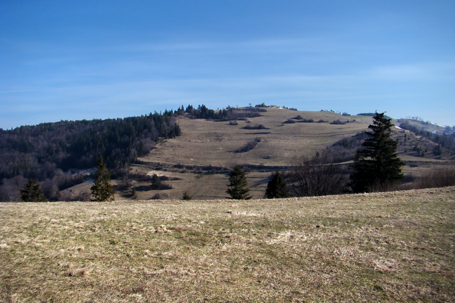 Bukovec z Matejoviec nad Hornádom (Volovské vrchy)