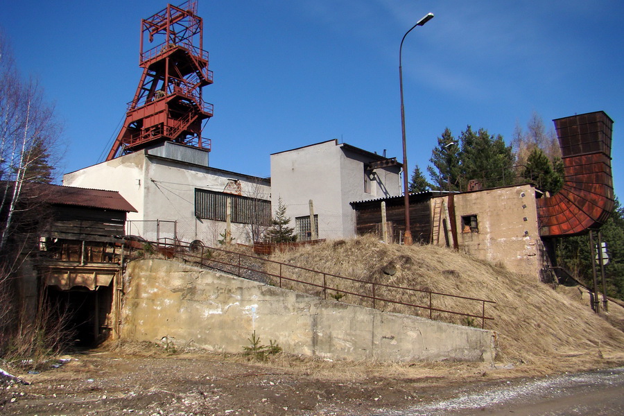 Bukovec z Matejoviec nad Hornádom (Volovské vrchy)