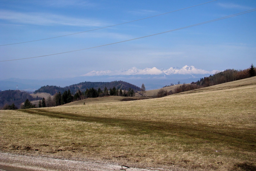 Bukovec z Matejoviec nad Hornádom (Volovské vrchy)