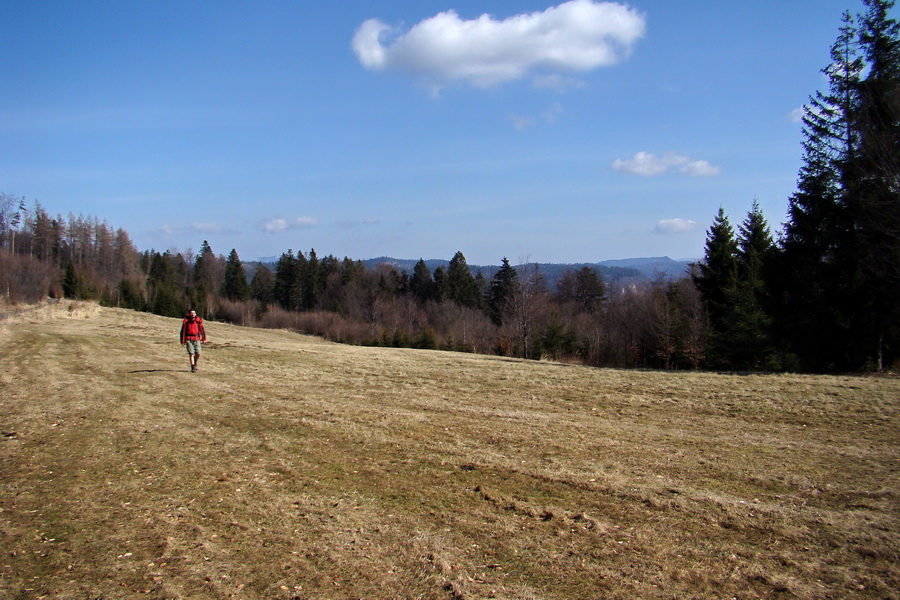 Bukovec z Matejoviec nad Hornádom (Volovské vrchy)