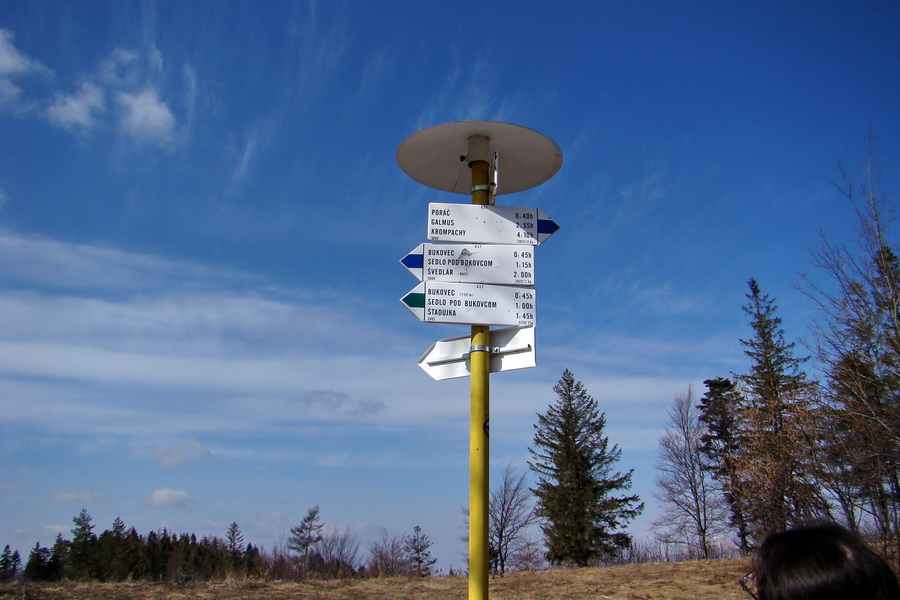 Bukovec z Matejoviec nad Hornádom (Volovské vrchy)