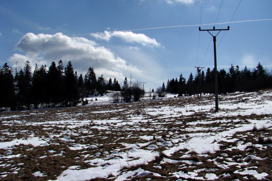 Bukovec z Matejoviec nad Hornádom (Volovské vrchy)