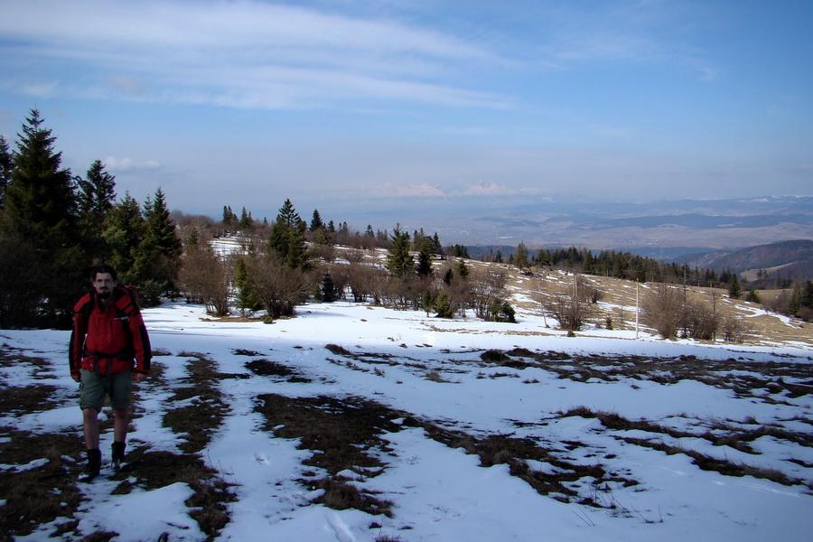 Bukovec z Matejoviec nad Hornádom (Volovské vrchy)