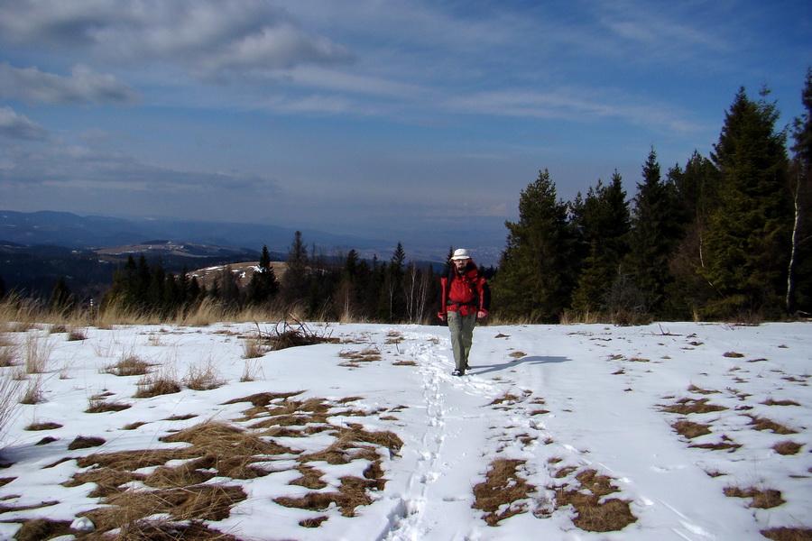 Bukovec z Matejoviec nad Hornádom (Volovské vrchy)