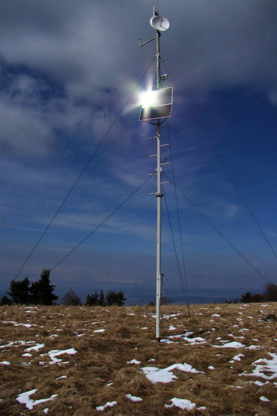 Bukovec z Matejoviec nad Hornádom (Volovské vrchy)