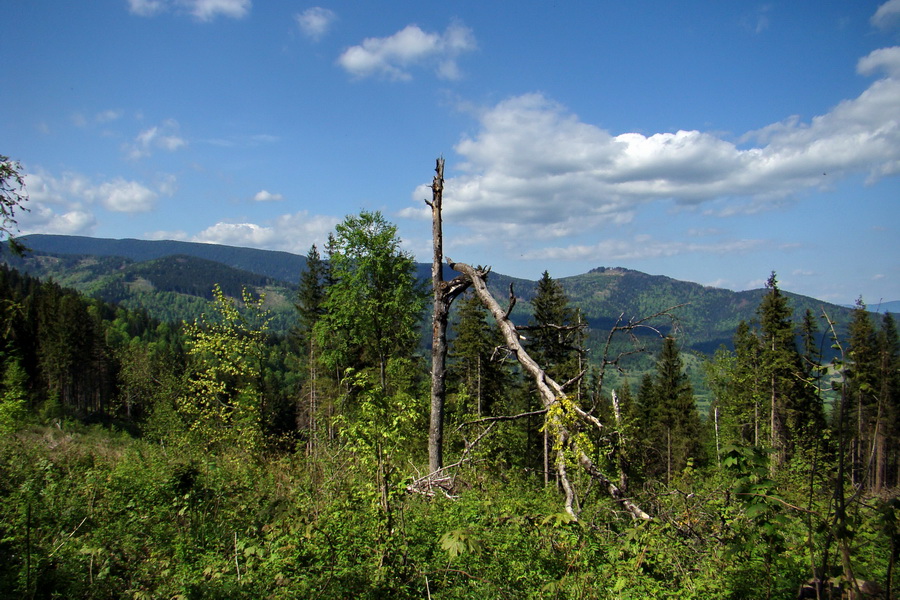 cez Kohút na Stolicu (Stolické vrchy)