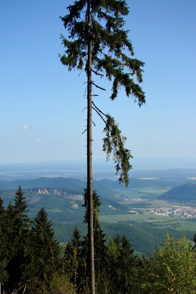 cez Kohút na Stolicu (Stolické vrchy)