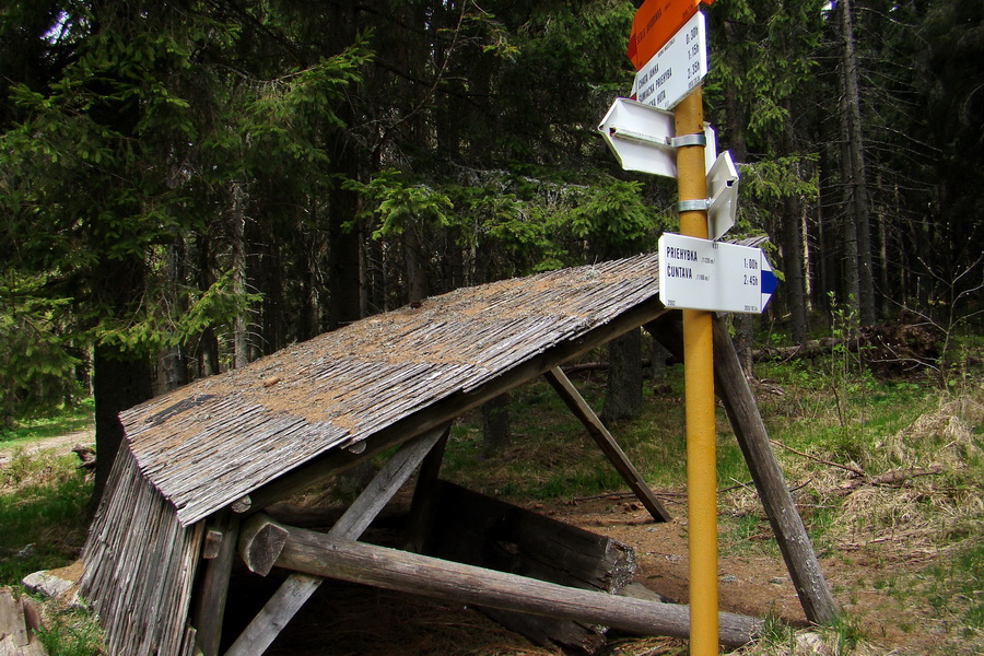 cez Kohút na Stolicu (Stolické vrchy)