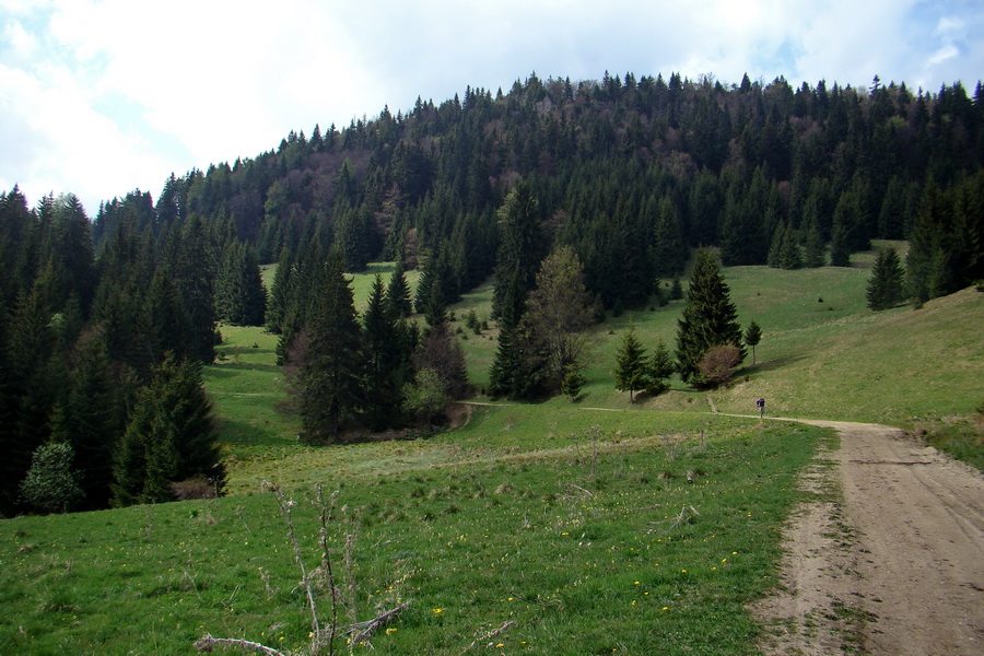 cez Kohút na Stolicu (Stolické vrchy)