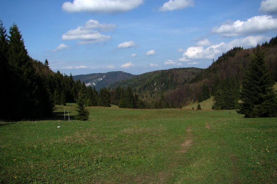 cez Kohút na Stolicu (Stolické vrchy)