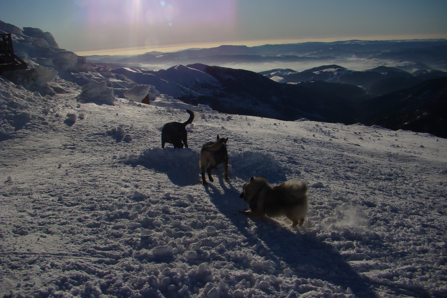 Chopok z Jasnej (Nízke Tatry)