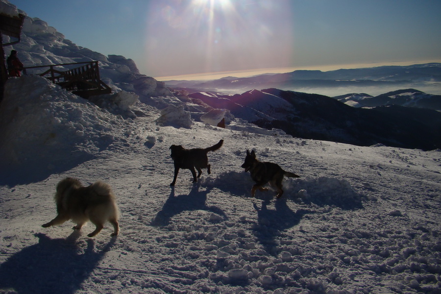 Chopok z Jasnej (Nízke Tatry)