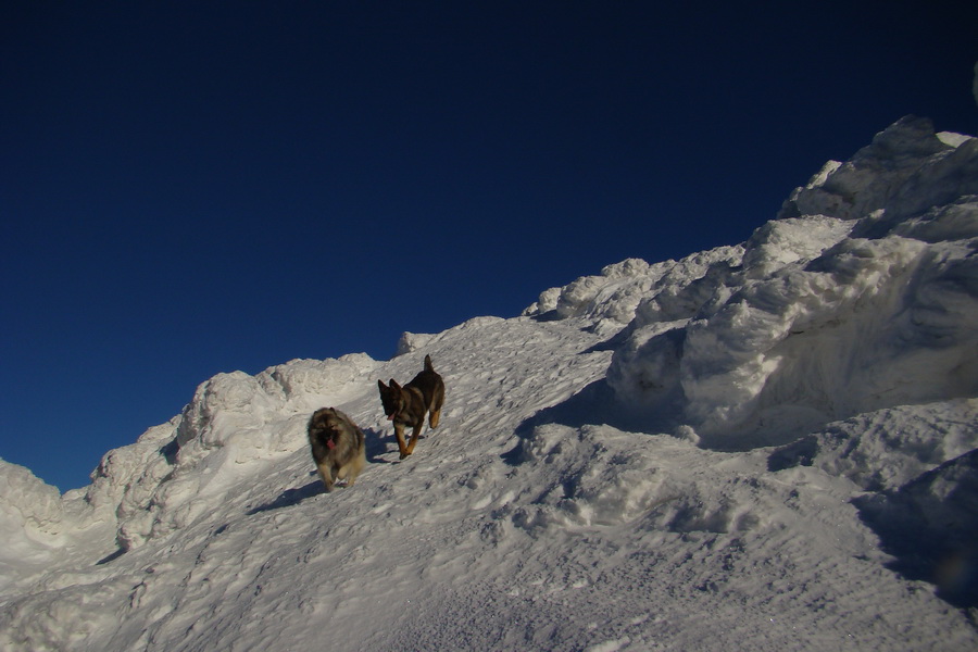 Chopok z Jasnej (Nízke Tatry)