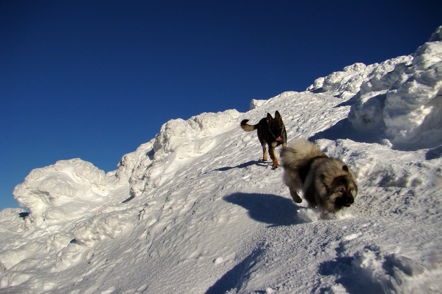 Chopok z Jasnej (Nízke Tatry)