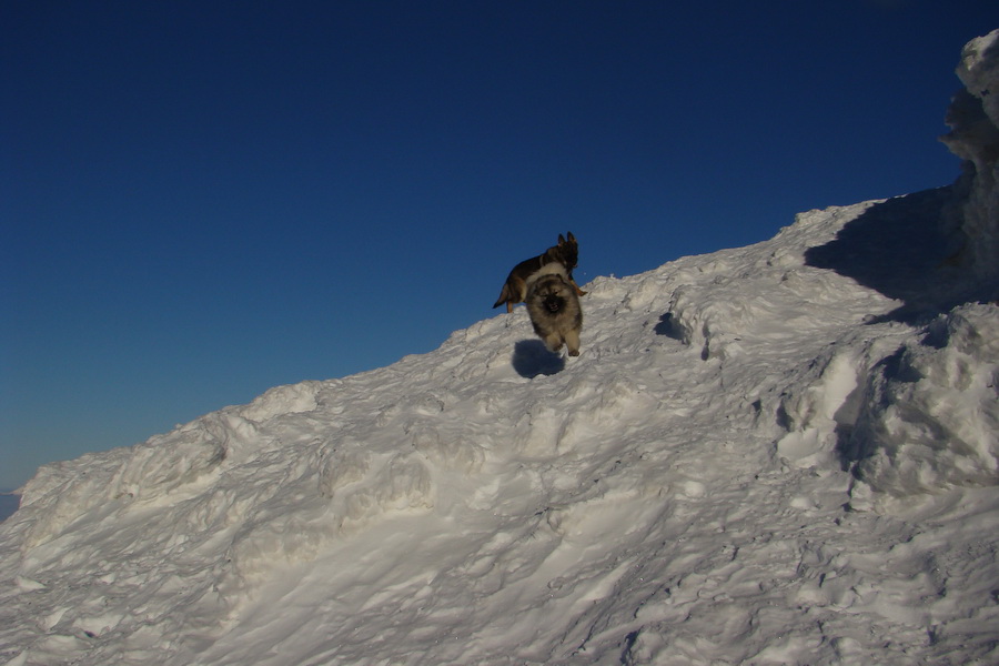 Chopok z Jasnej (Nízke Tatry)