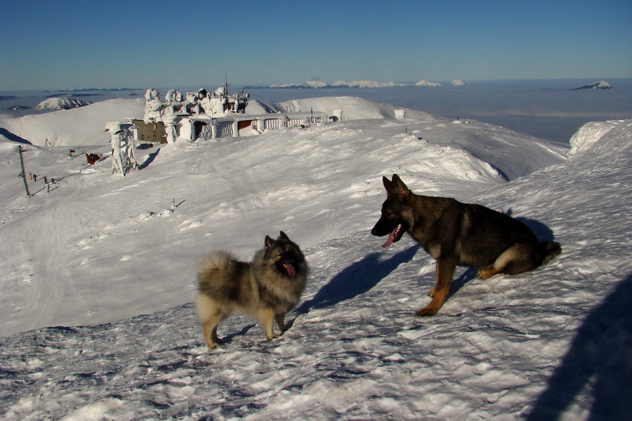 Chopok z Jasnej (Nízke Tatry)