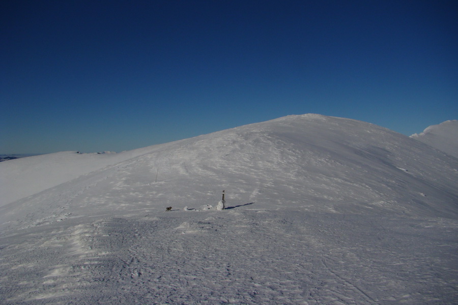 Chopok z Jasnej (Nízke Tatry)