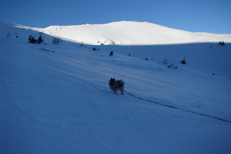 Chopok z Jasnej (Nízke Tatry)