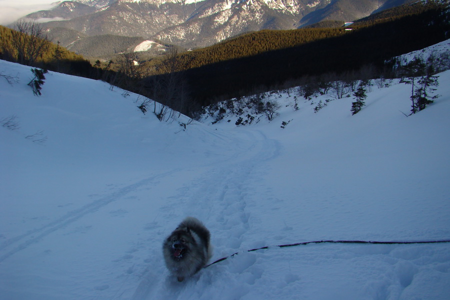 Chopok z Jasnej (Nízke Tatry)