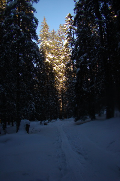 Chopok z Jasnej (Nízke Tatry)