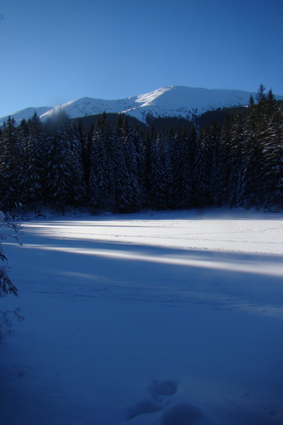 Chopok z Jasnej (Nízke Tatry)