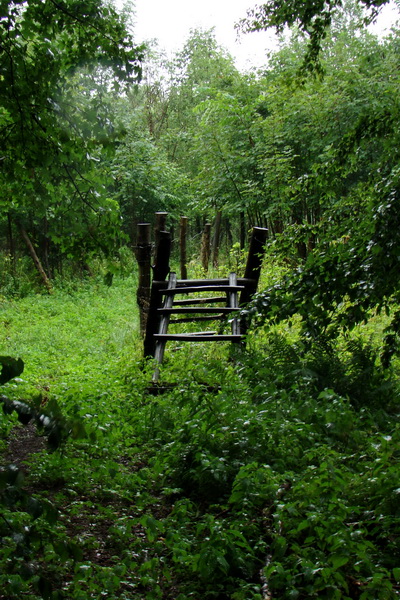 Dogtrekking Havinošľap III (Mid) (Volovské vrchy)