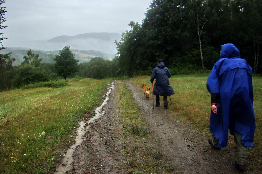 Dogtrekking Havinošľap III (Mid) (Volovské vrchy)