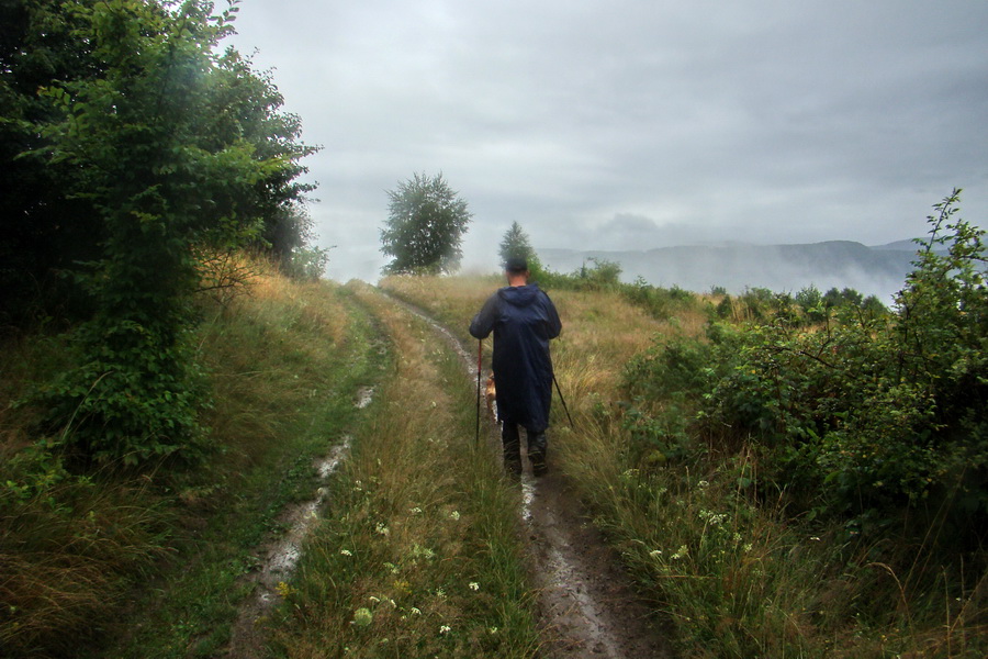 Dogtrekking Havinošľap III (Mid) (Volovské vrchy)