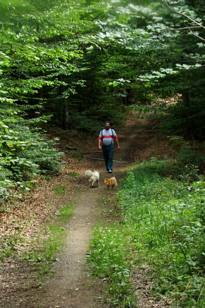 Dogtrekking Havinošľap III (Mid) (Volovské vrchy)