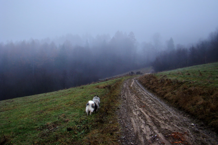 Folkmarská skala (Volovské vrchy)