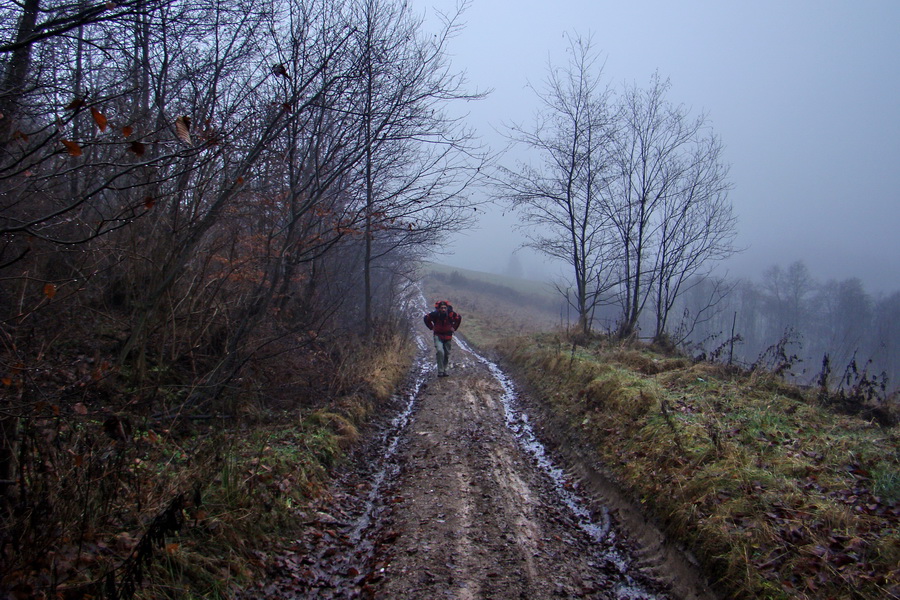 Folkmarská skala (Volovské vrchy)