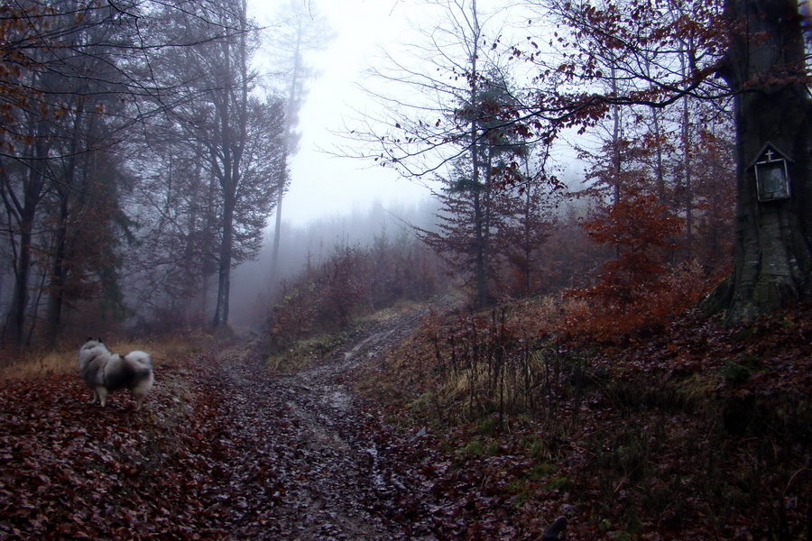 Folkmarská skala (Volovské vrchy)