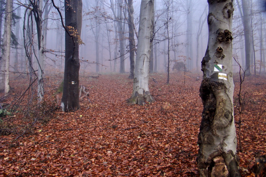 Folkmarská skala (Volovské vrchy)