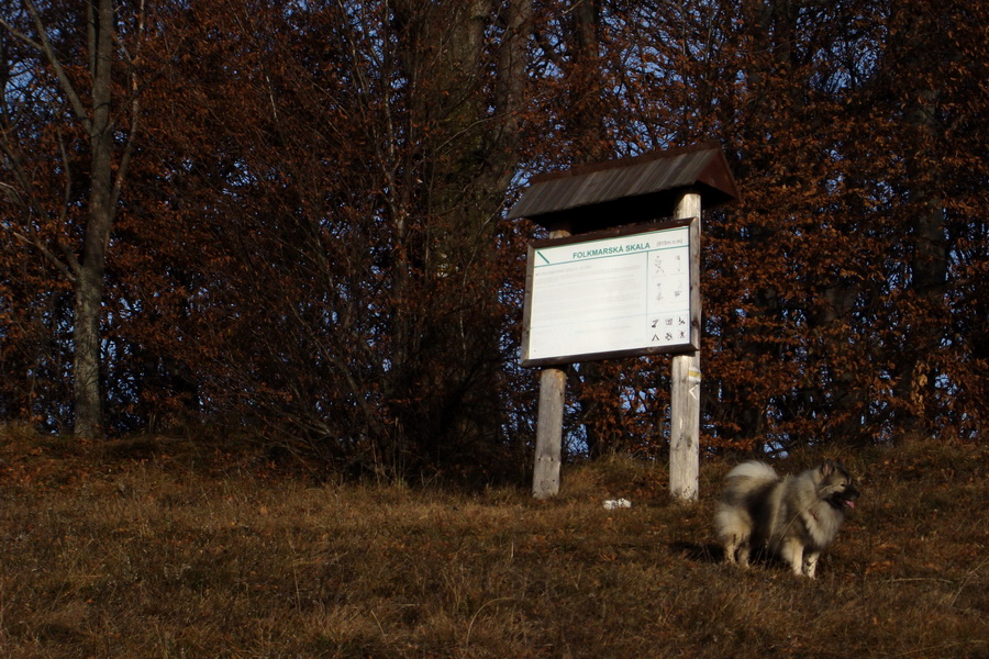 Folkmarská skala (Volovské vrchy)