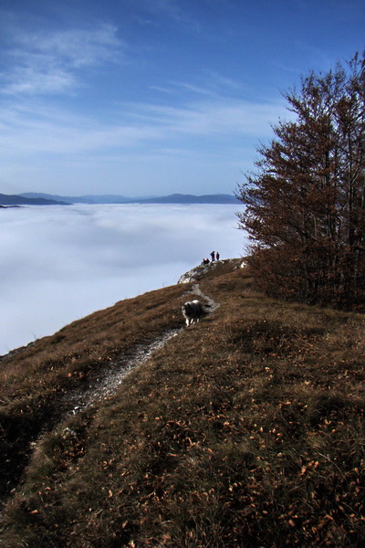 Folkmarská skala (Volovské vrchy)