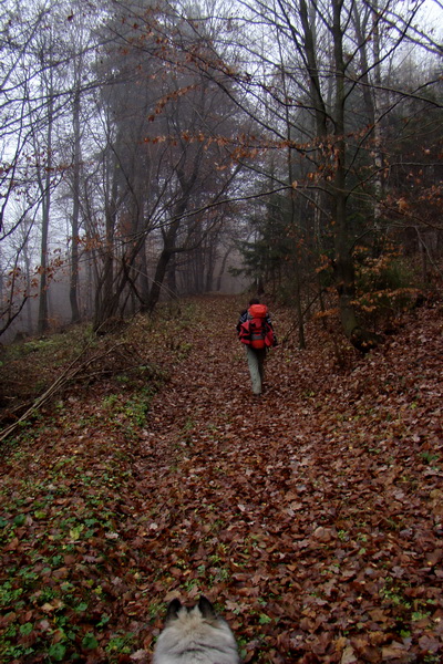 Folkmarská skala (Volovské vrchy)