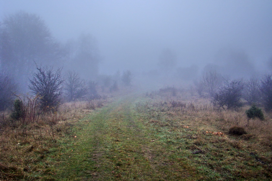 Folkmarská skala (Volovské vrchy)