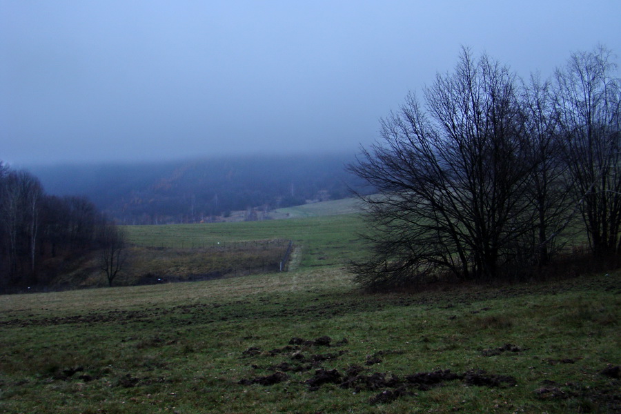 Folkmarská skala (Volovské vrchy)