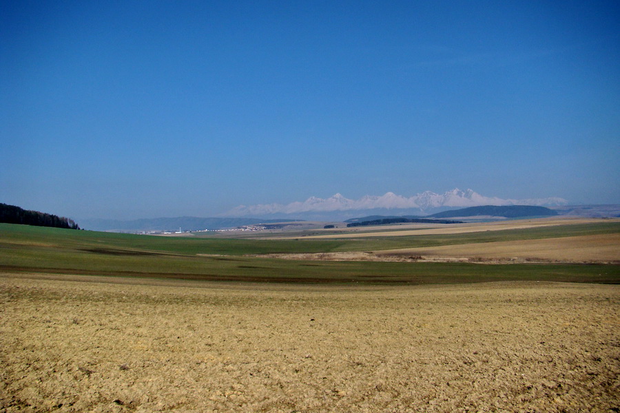 Geravy zo Spišských Tomášoviec (Slovenský raj)