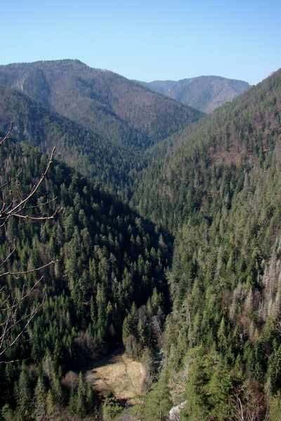 Geravy zo Spišských Tomášoviec (Slovenský raj)